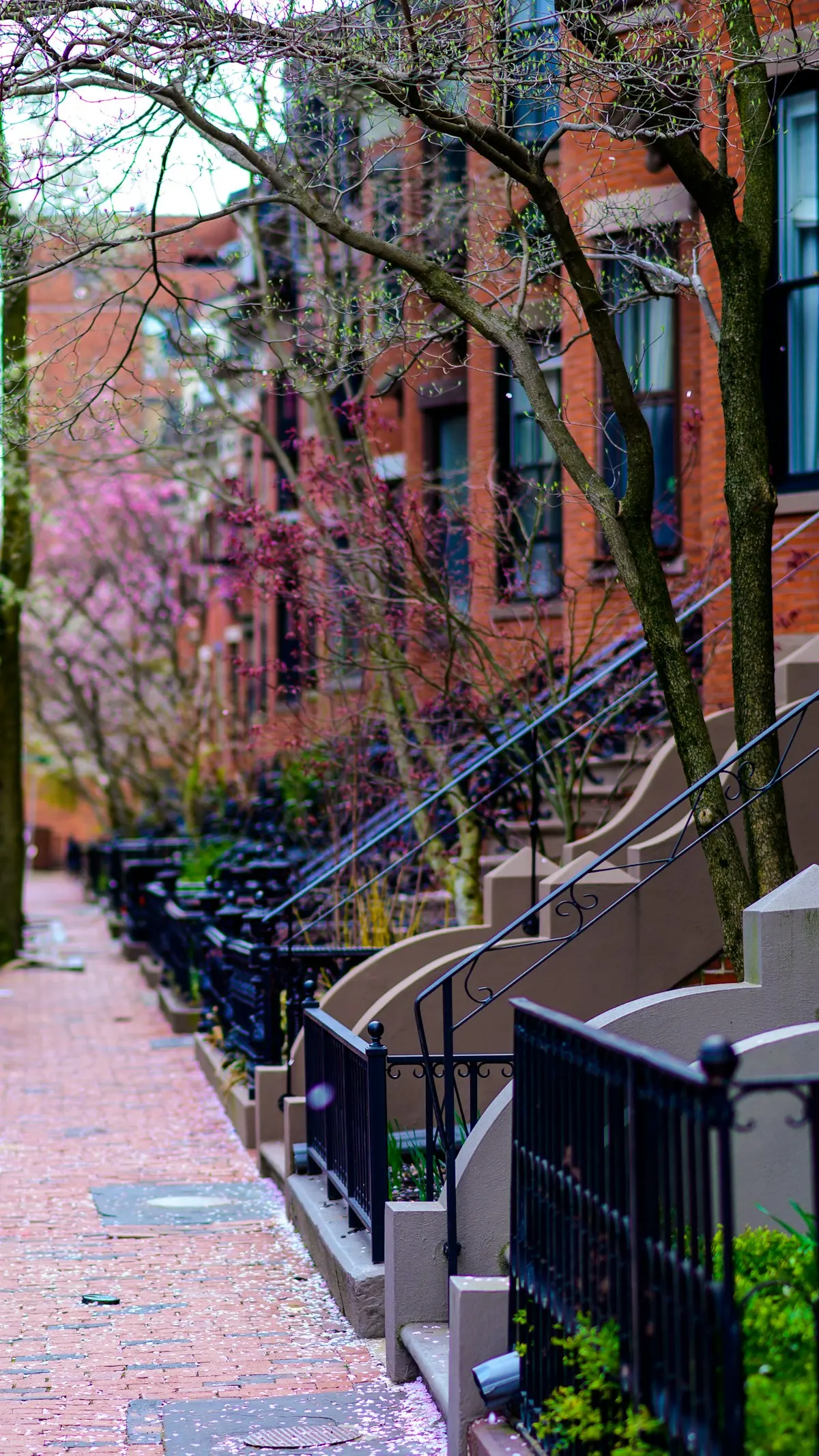 Brick townhouse row in soft daylight — Philippe Murray-Pietsch on Unsplash